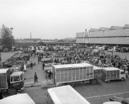 851569 Overzicht van de schapen- en kalverenmarkt op het veemarktterrein bij de Croeselaan te Utrecht, tijdens ...